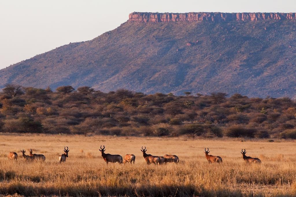 Отель Waterberg Guest Farm Экстерьер фото